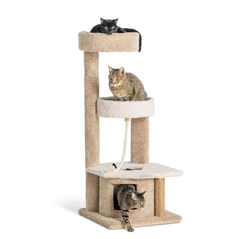 petsmart cat tower