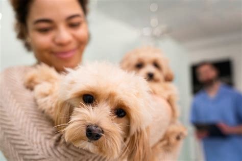 petsmart vaccinations prices for dogs