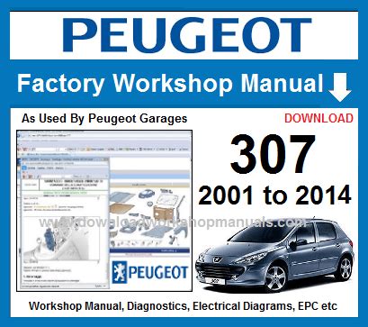 peugeot 307 hdi repair service manual pdf Kindle Editon