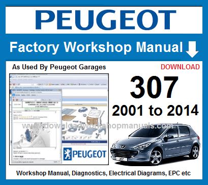 peugeot 307 workshop manual download PDF