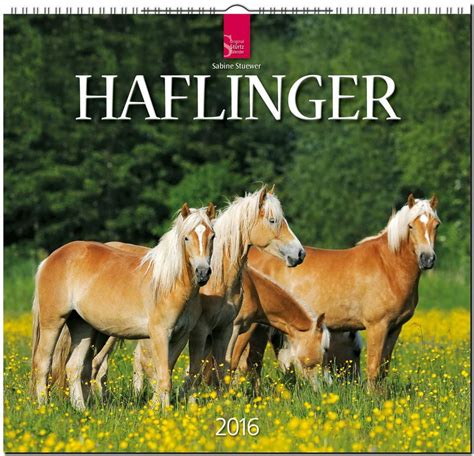 pferde 2016 st rtz kalender mittelformat kalender spiralbindung Kindle Editon