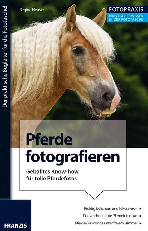 pferde fotografieren tipps tricks anekdoten ebook Kindle Editon