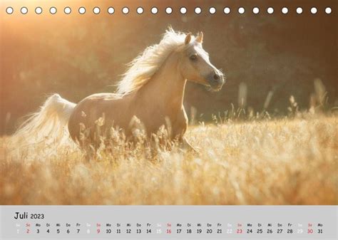 pferde graphiken tischkalender 2016 quer monatskalender PDF
