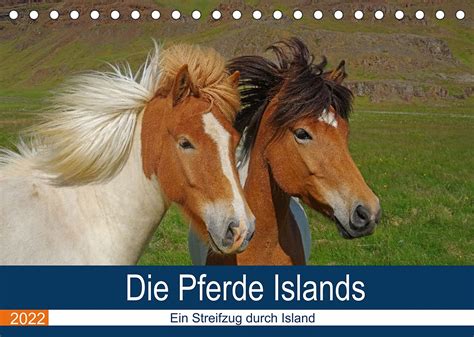 pferde islands tischkalender 2016 quer Doc