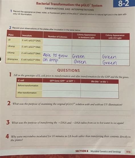 pglo transformation lab answer key Kindle Editon