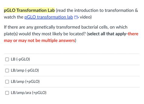 pglo transformation lab answers