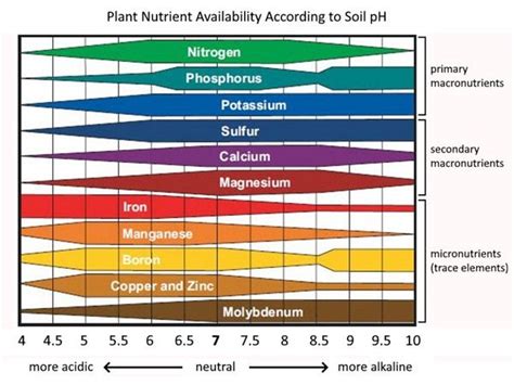 Ph Soil Nutrient Availability Chart