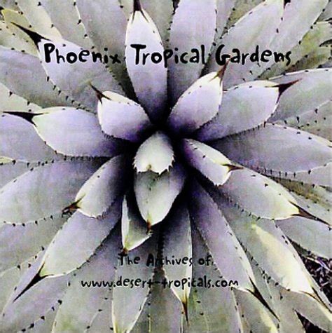 phoenix tropical gardens archive cdrom Reader