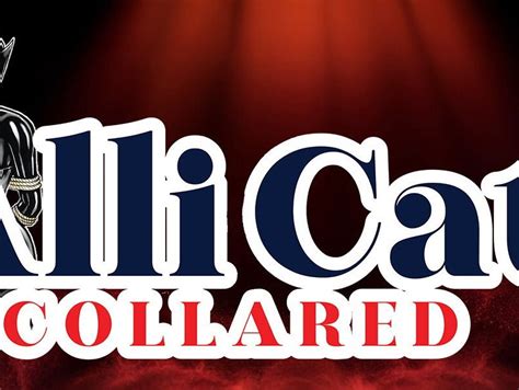 AlliCatCollared