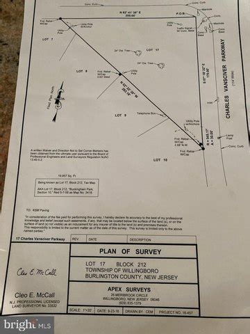 Alyssa Van Sciver #17