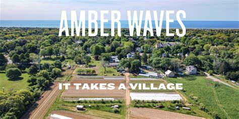 Amber Waves #14