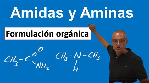 Amina A #8