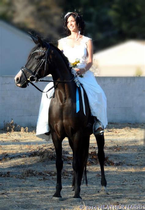 Amy D'allessandro #12