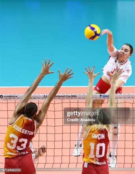 Aycin Akyol