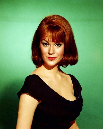 Barbara Rhoades