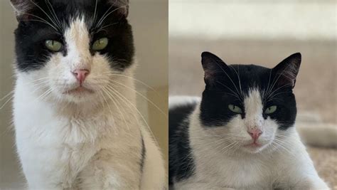 Barbara Sciarrabba #17