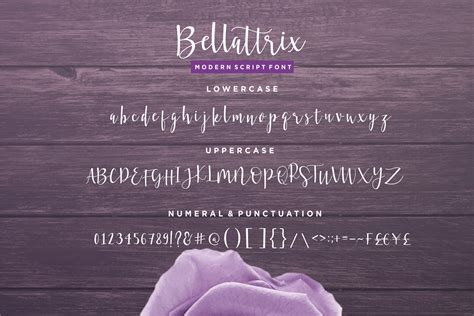 Bellattrix #8