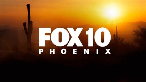 Branda Fox #10