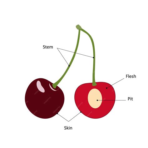 Cherry Stone