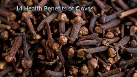 Cloves #14