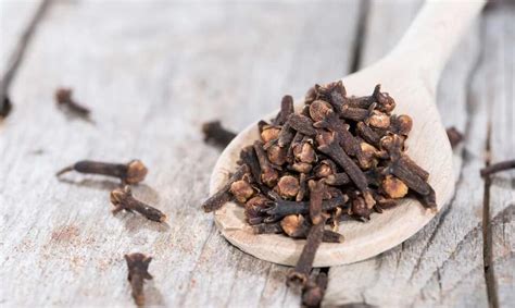 Cloves #16