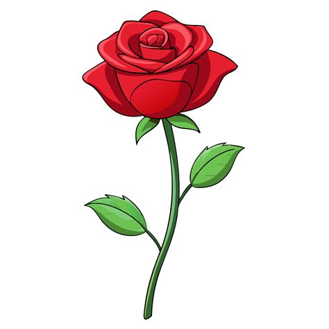 Cute Rose #2