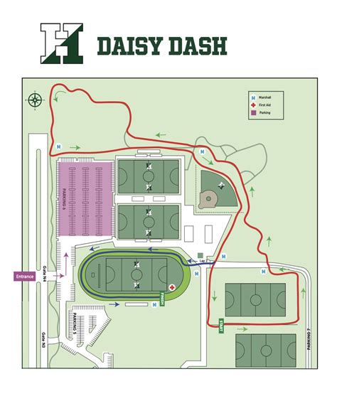 Daisy Dash