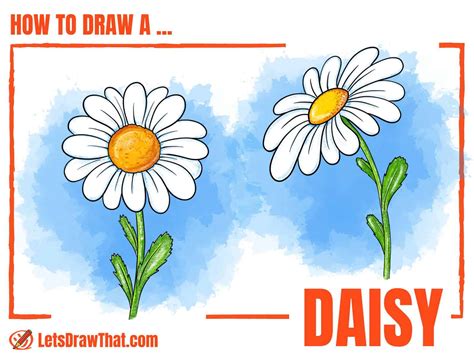 Daisy Dray #2