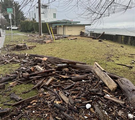 Brittany Sylvanowicz