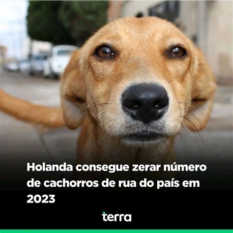 Debora C