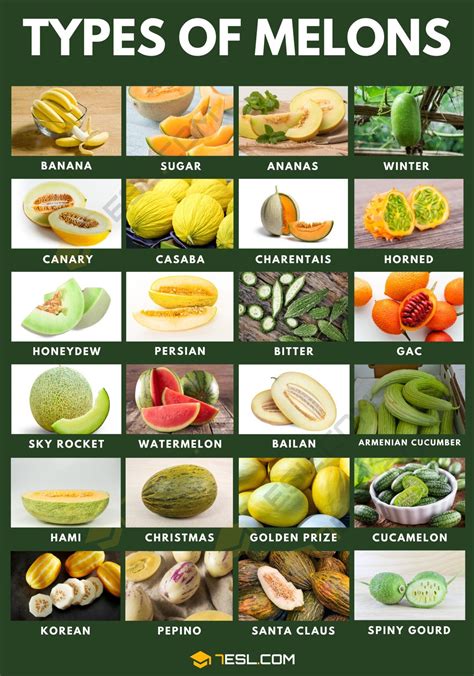 Dee Melons #13