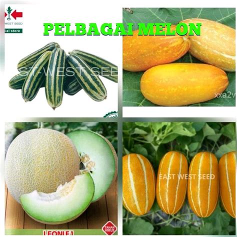Dee Melons