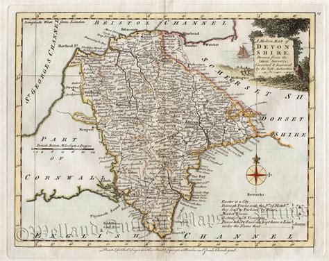 Devon Shire