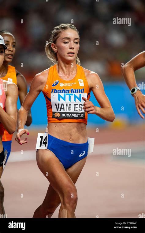 Diane Van Es