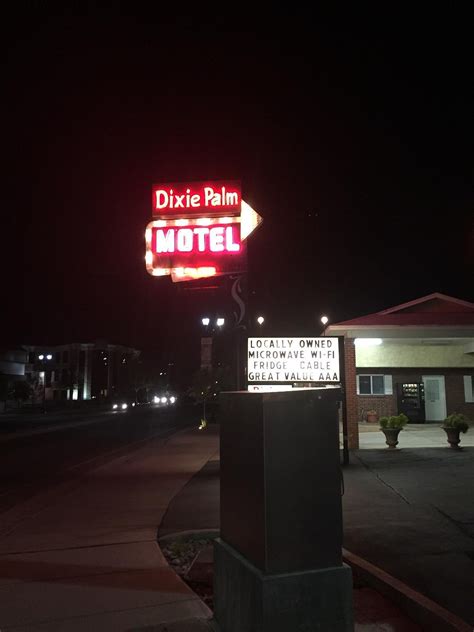 Dixie Palms #1