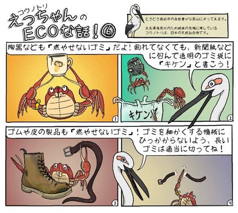 Ecchan