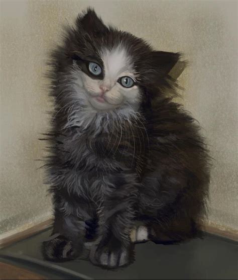 Emo KItten
