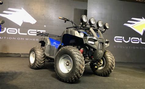 Evolet #19