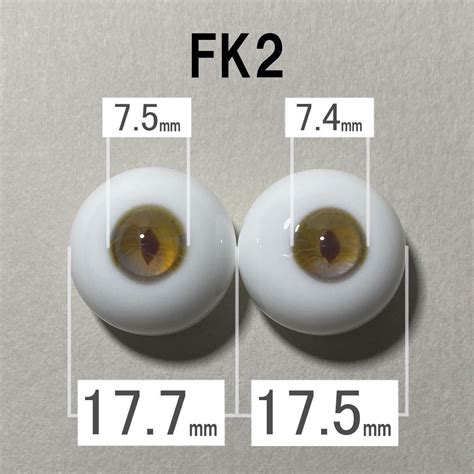 FK2