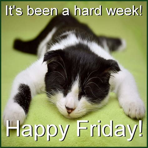 Friday