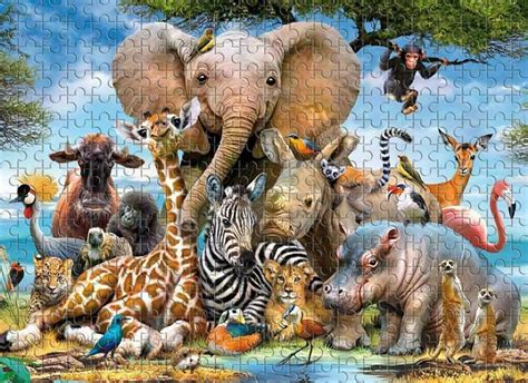 photo fun picture puzzles animals Reader