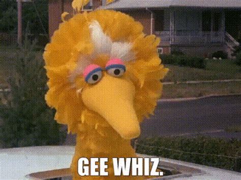 Gee Whiz #12