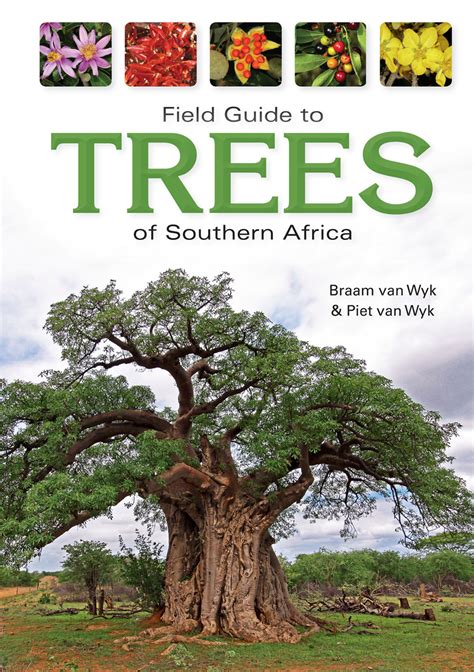 photo guide to trees of southern africa Doc