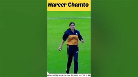 Hareer Chamto #16