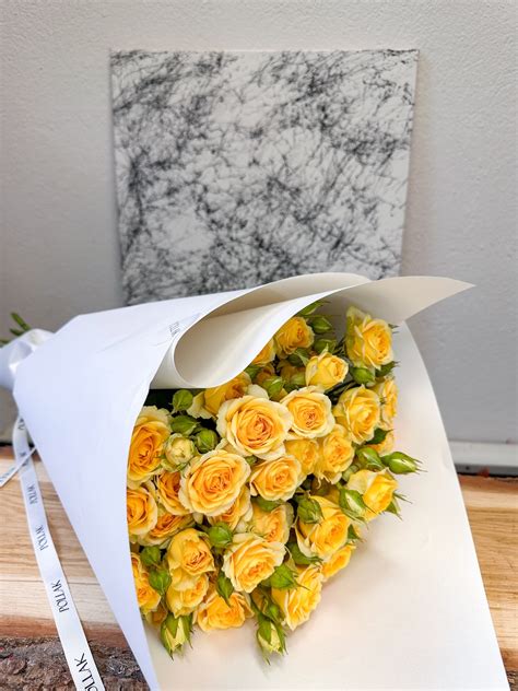 Harmony Rose #13