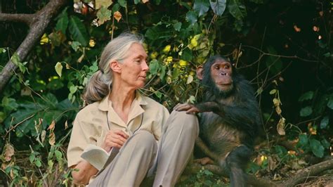 Jane Goodall #12