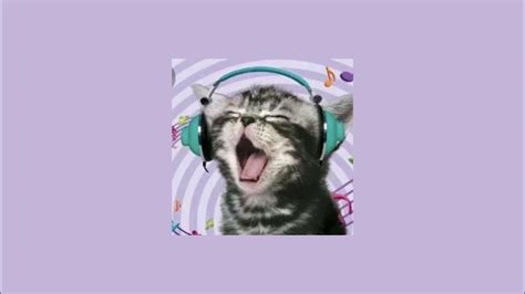Kitty Nice