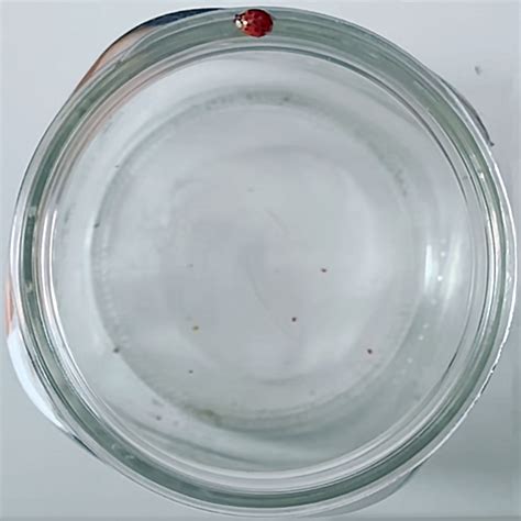 Christina Marie Kelly