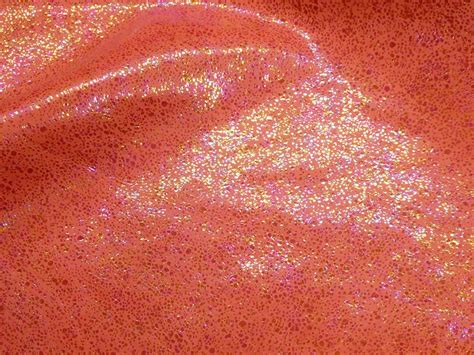 Lenushka Splatter #12