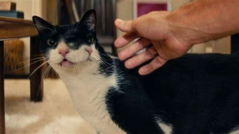 giulia bruno onlyfans